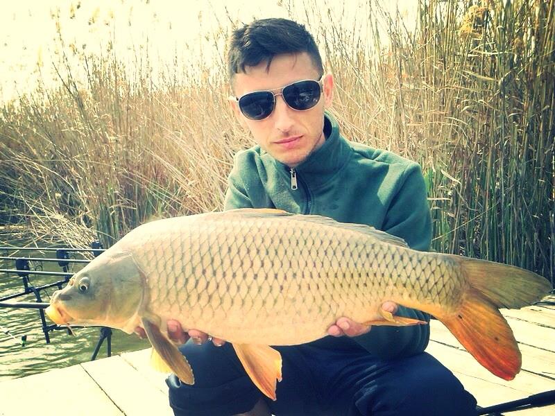 2013 - 2 - image1111.jpg